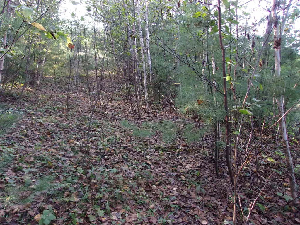 Fenn Way Circle Bath NH 03740