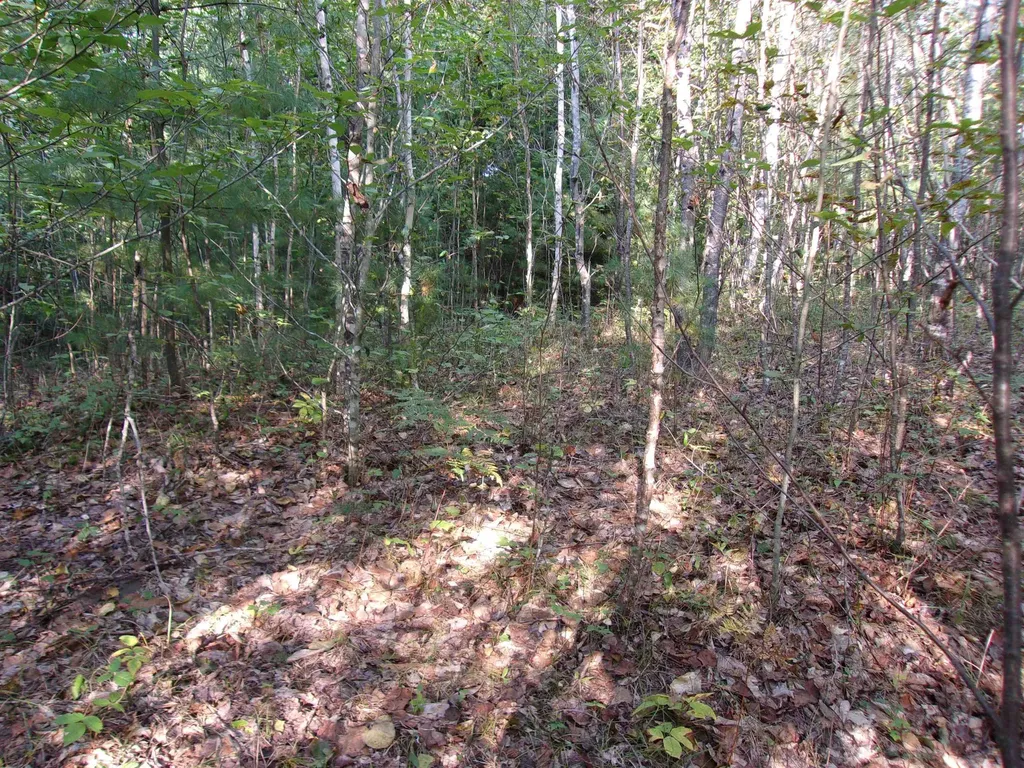 Fenn Way Circle Bath NH 03740