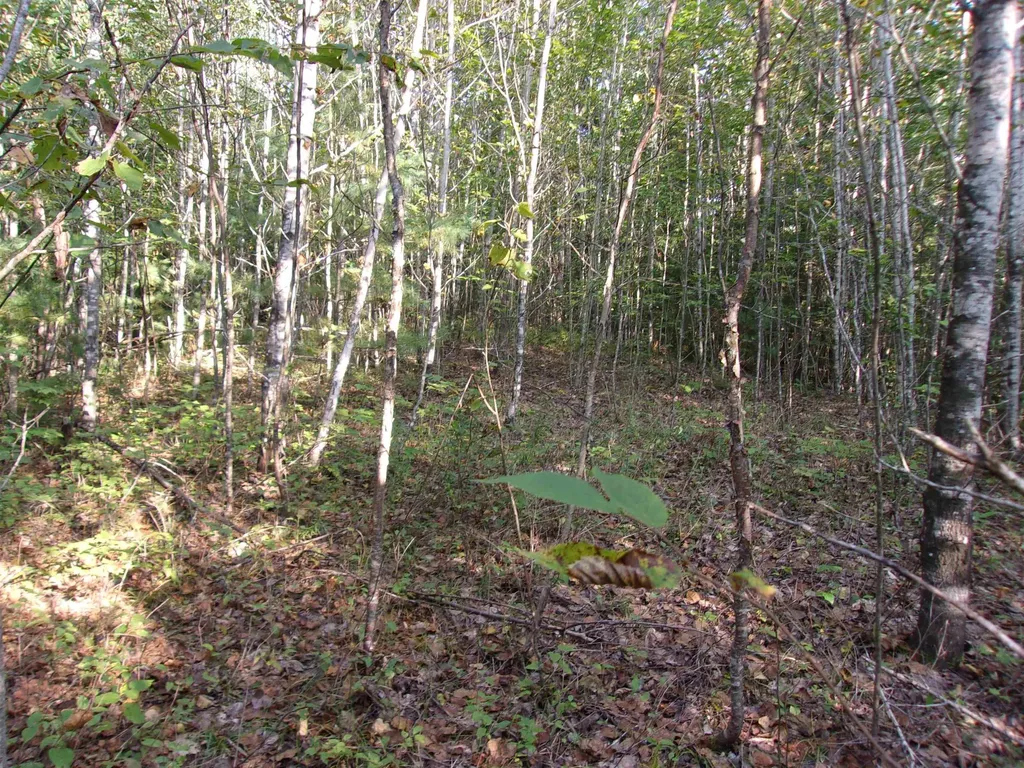 Fenn Way Circle Bath NH 03740