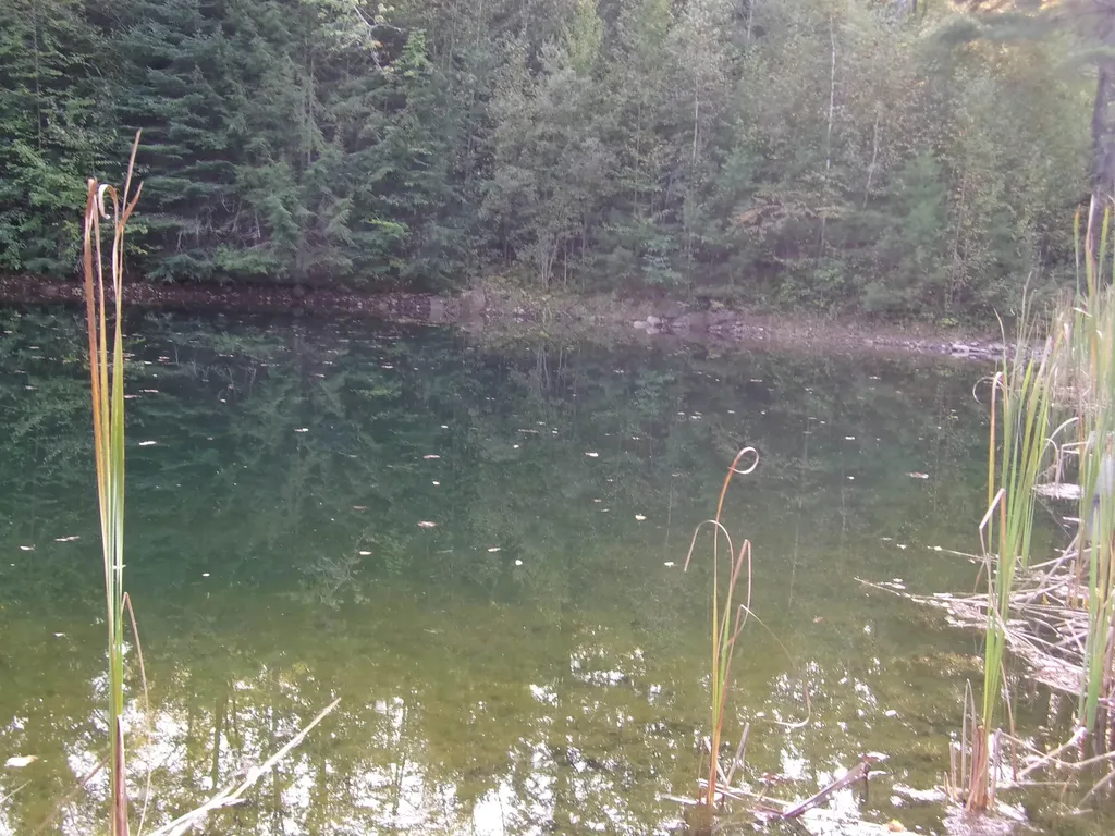 Fenn Way Circle Bath NH 03740