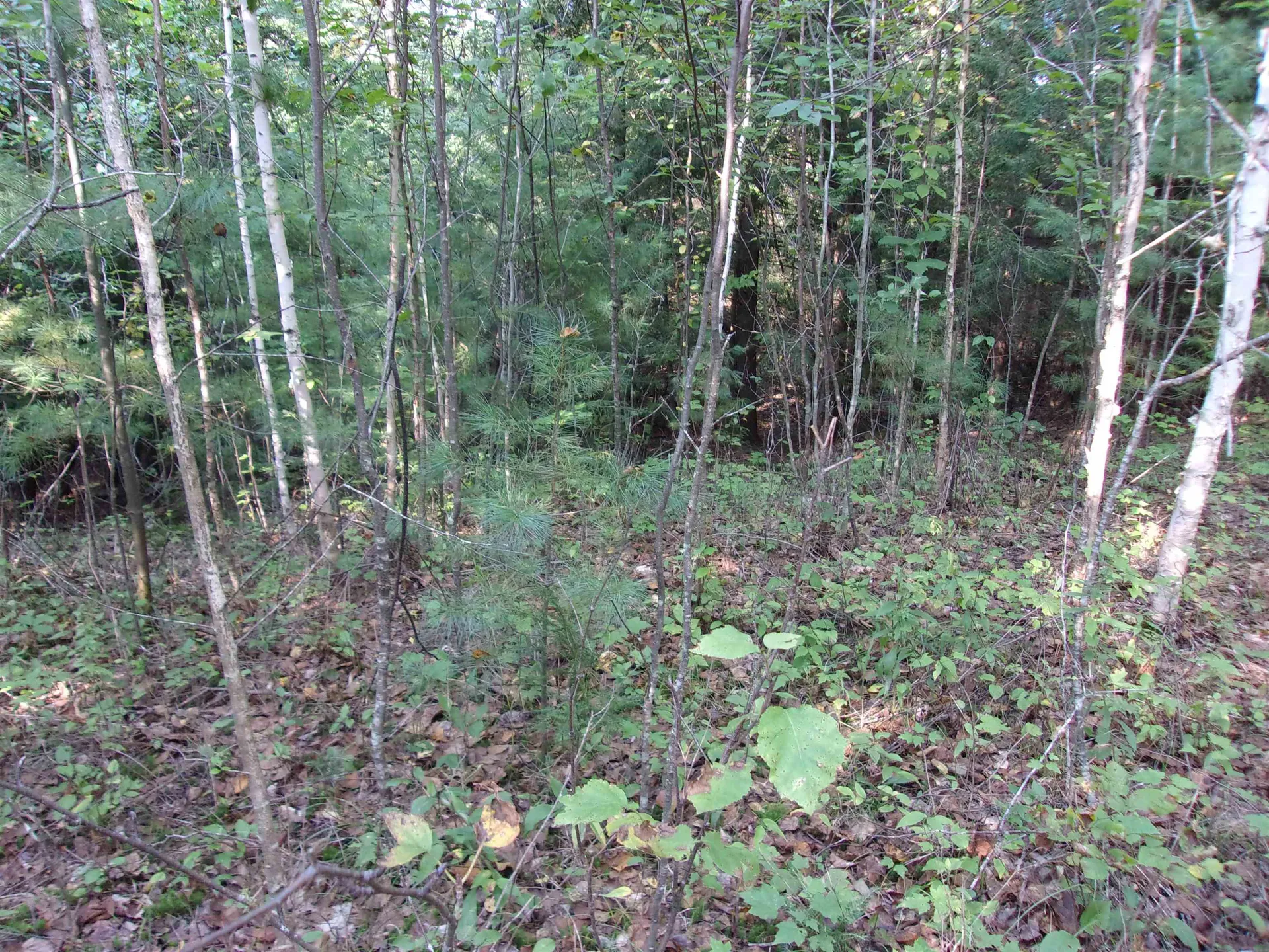 Fenn Way Circle Bath NH 03740