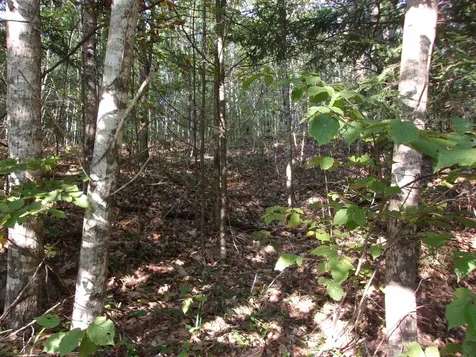 Fenn Way Circle Bath NH 03740