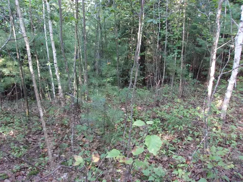 Fenn Way Circle Bath NH 03740