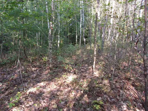 Fenn Way Circle Bath NH 03740