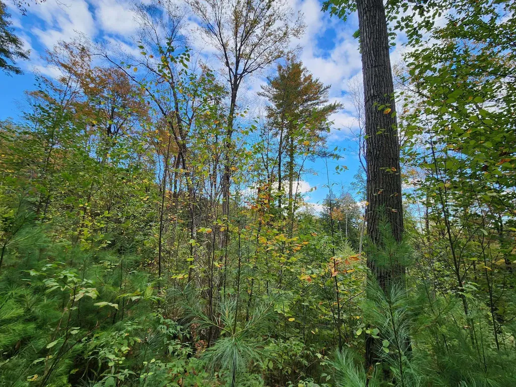 Bagley Hill Road Warner NH 03278