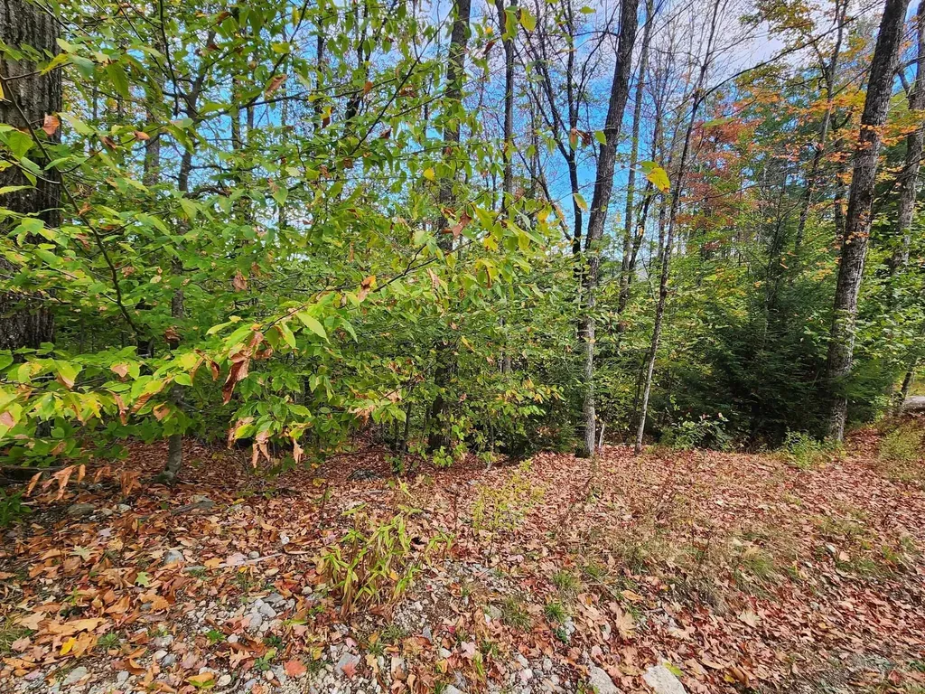 Bagley Hill Road Warner NH 03278