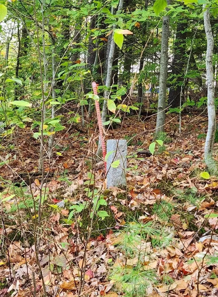 Bagley Hill Road Warner NH 03278