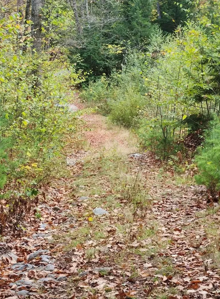 Bagley Hill Road Warner NH 03278