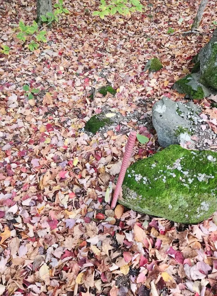 Bagley Hill Road Warner NH 03278