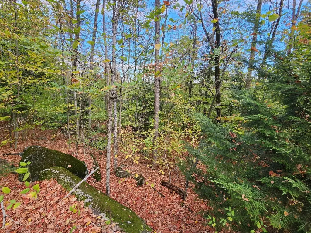 Bagley Hill Road Warner NH 03278