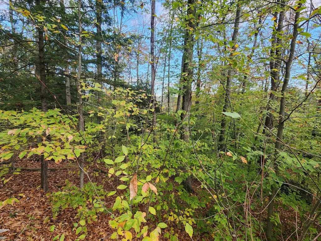 Bagley Hill Road Warner NH 03278