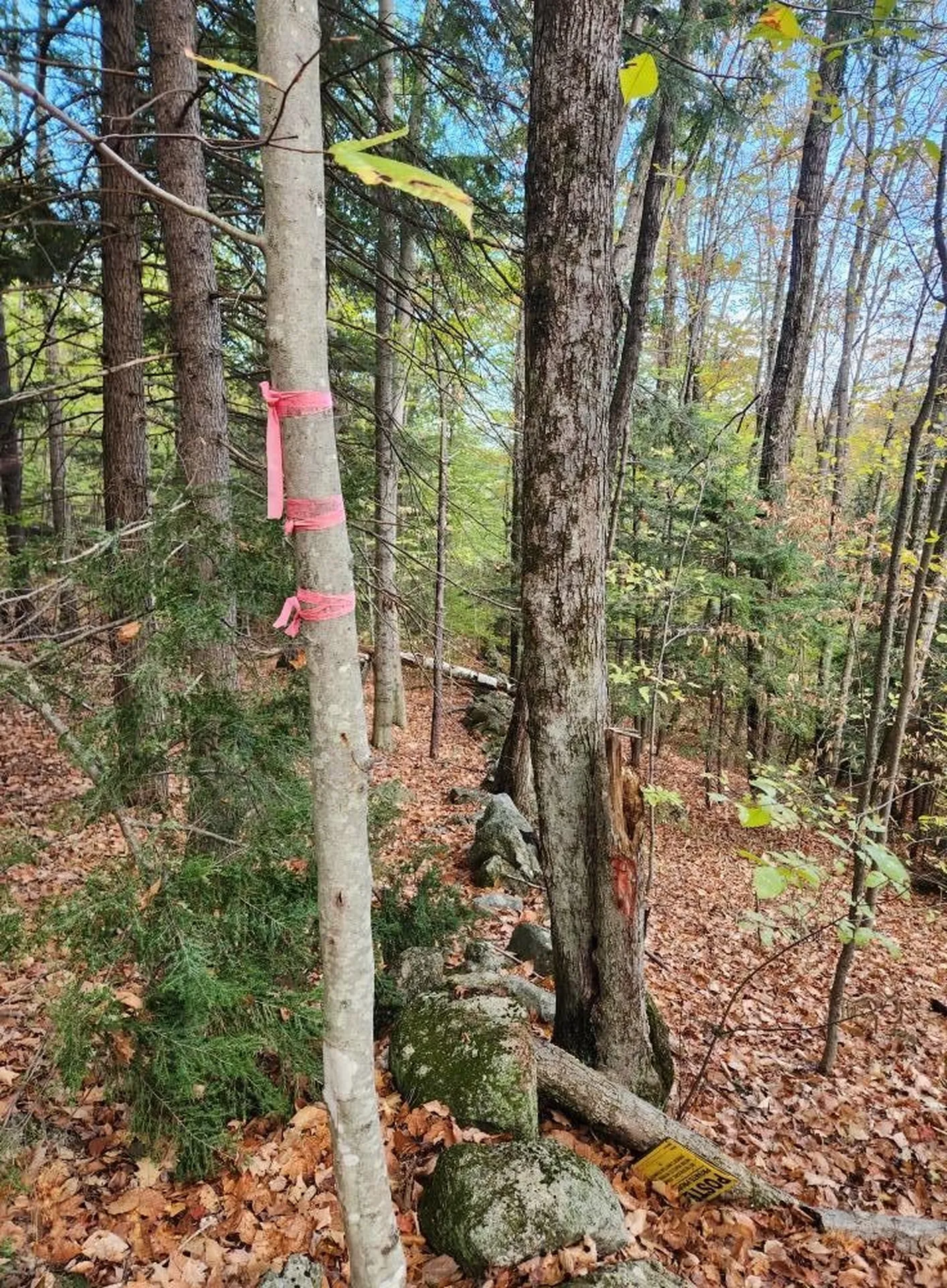 Bagley Hill Road Warner NH 03278