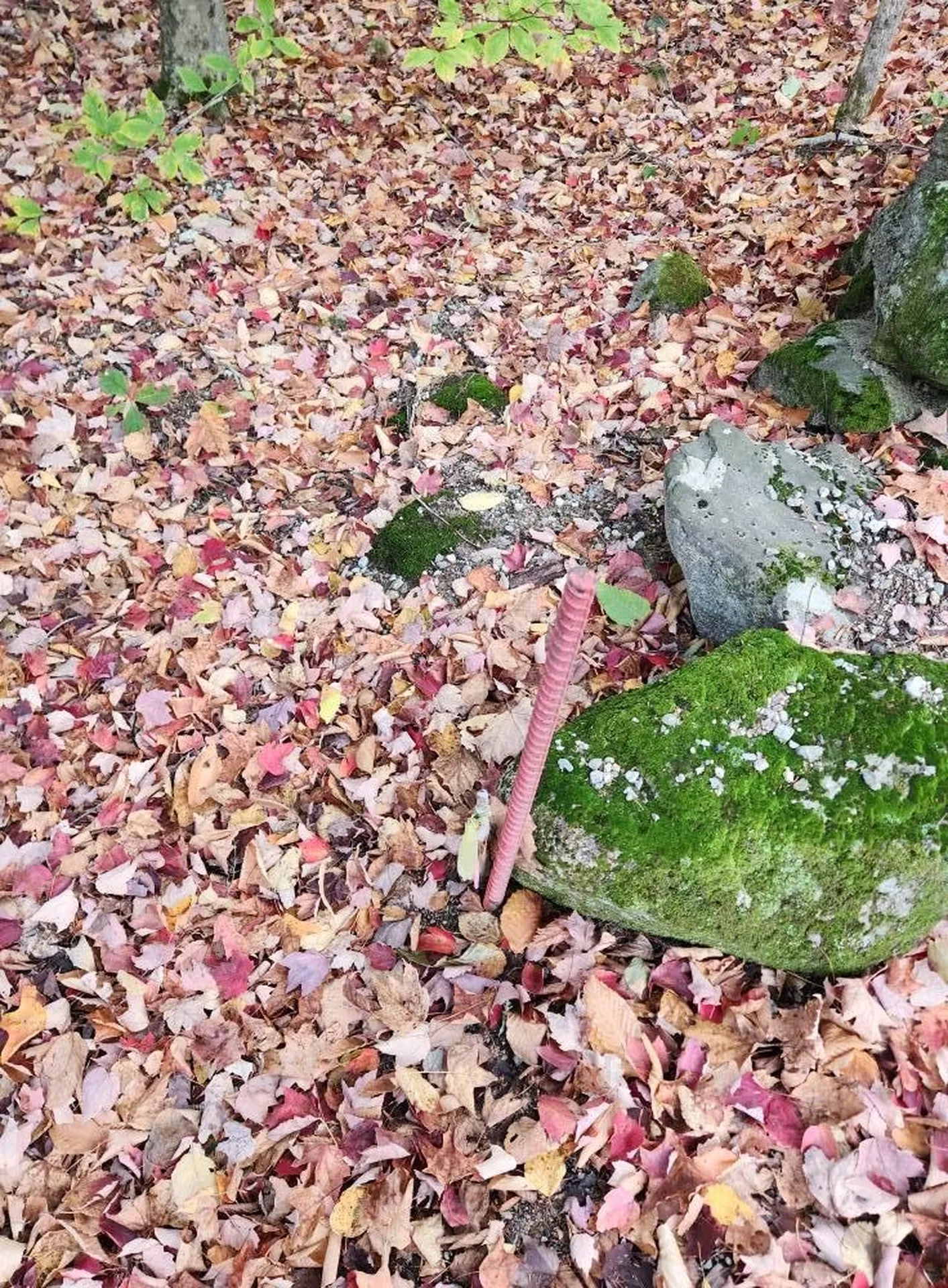 Bagley Hill Road Warner NH 03278