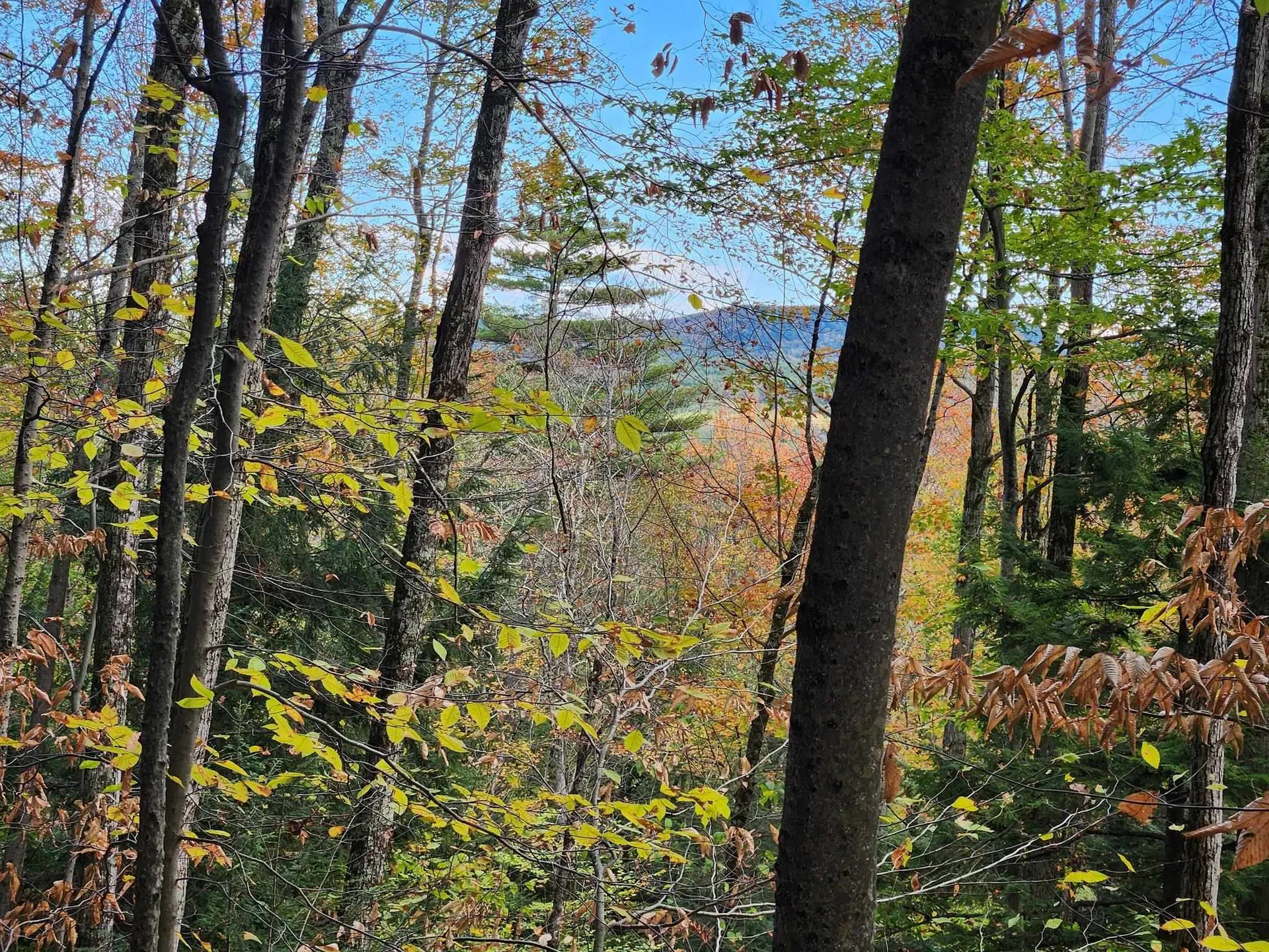 Bagley Hill Road Warner NH 03278