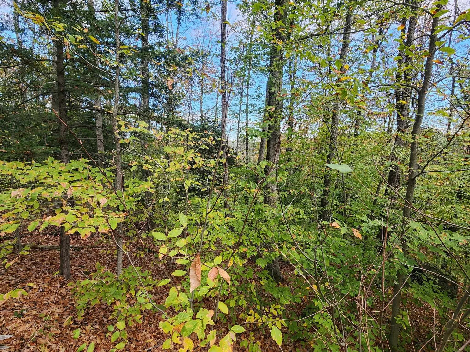 Bagley Hill Road Warner NH 03278