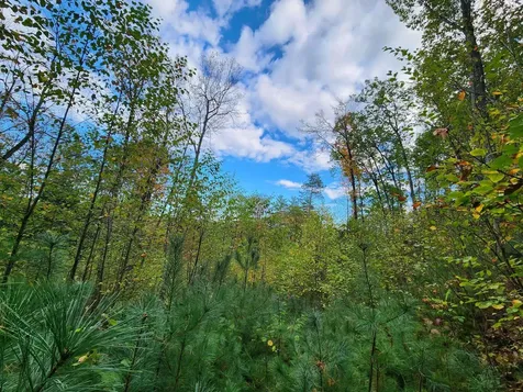 Bagley Hill Road Warner NH 03278