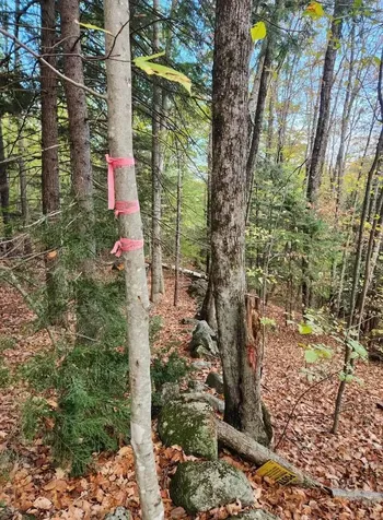 Bagley Hill Road Warner NH 03278