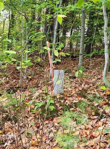 Bagley Hill Road Warner NH 03278