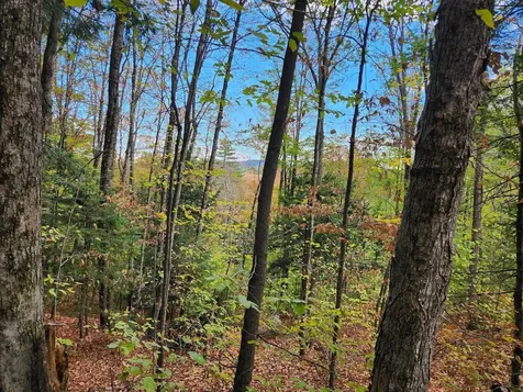 Bagley Hill Road Warner NH 03278