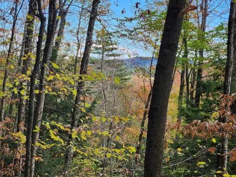 Bagley Hill Road Warner NH 03278