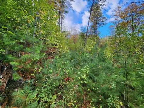 Bagley Hill Road Warner NH 03278