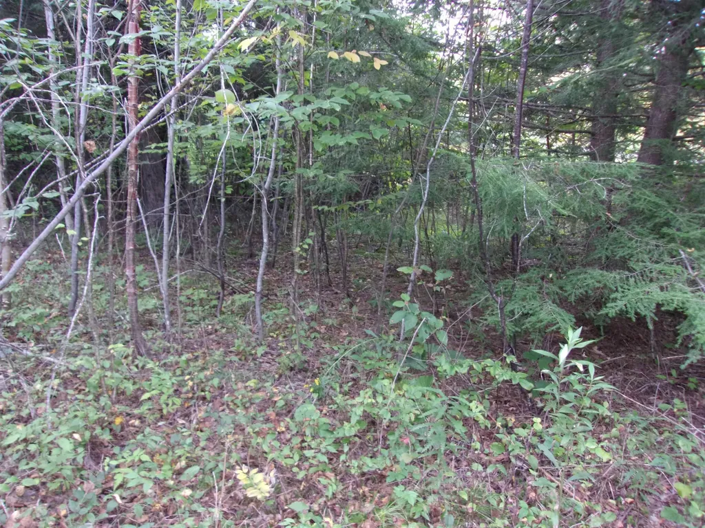 Fenn Way Circle Bath NH 03740