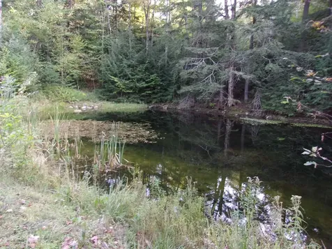 Fenn Way Circle Bath NH 03740