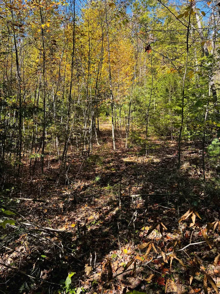 Map 408 Lot 39-1 Bullock Road Richmond NH 03446