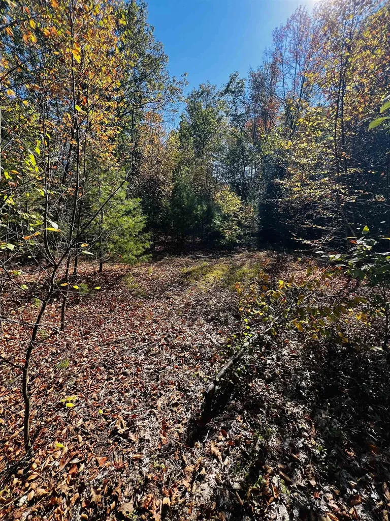 Map 408 Lot 39-1 Bullock Road Richmond NH 03446