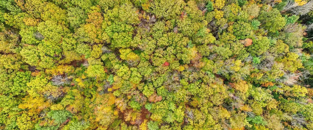 Map 408 Lot 39-1 Bullock Road Richmond NH 03446