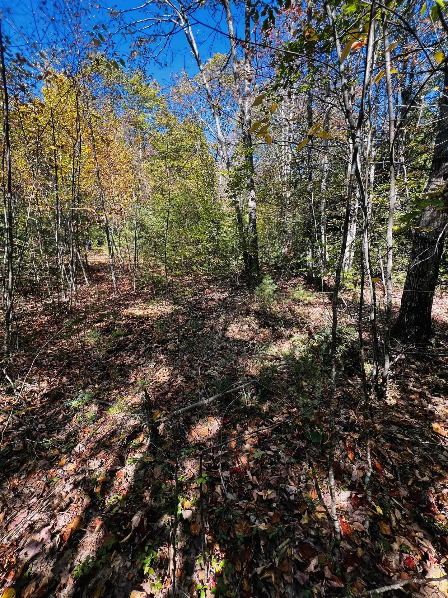 Map 408 Lot 39-1 Bullock Road Richmond NH 03446