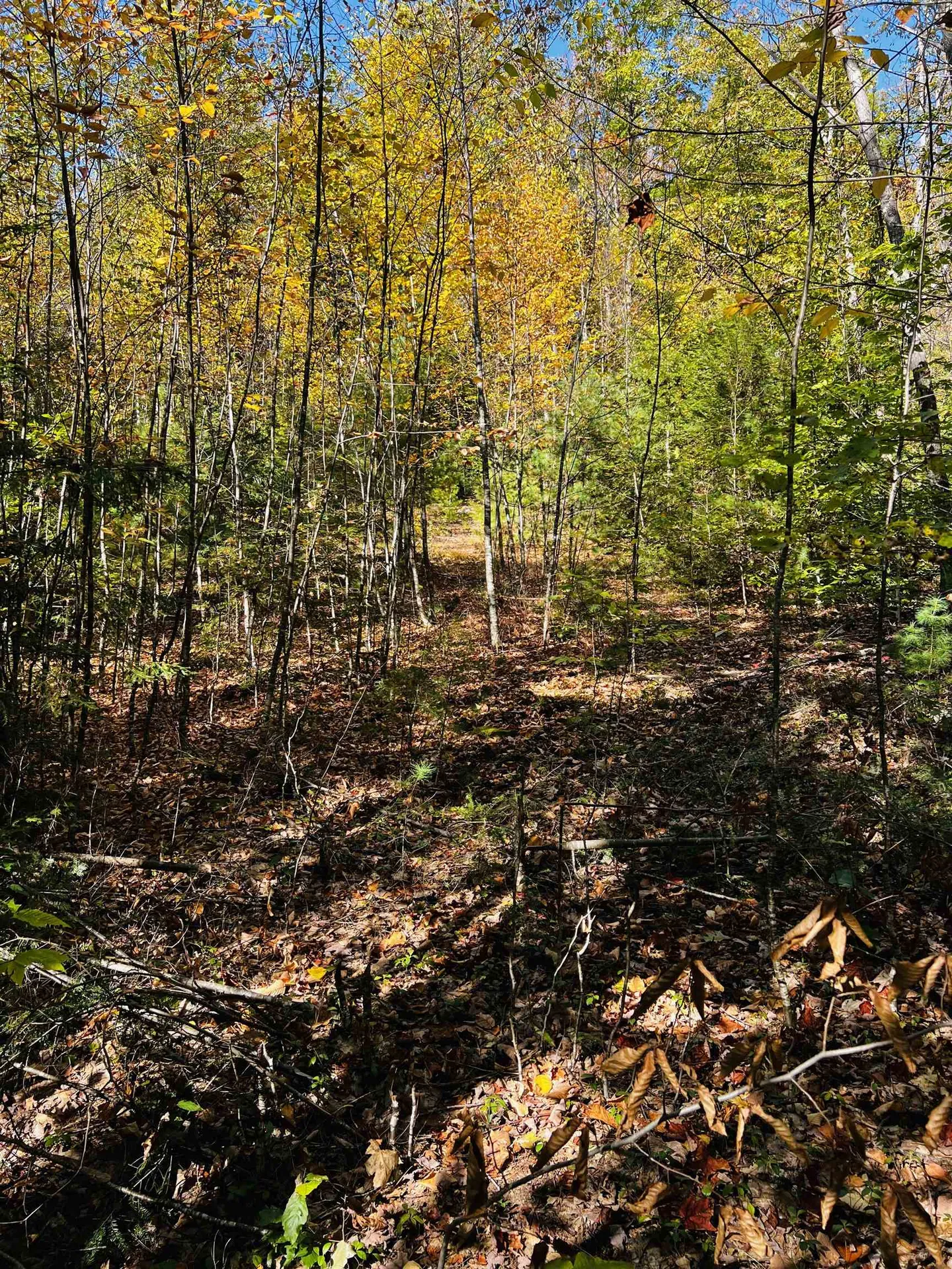 Map 408 Lot 39-1 Bullock Road Richmond NH 03446