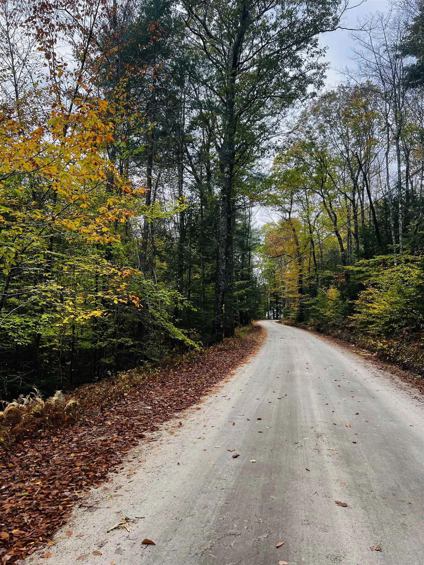 Map 408 Lot 39-1 Bullock Road Richmond NH 03446