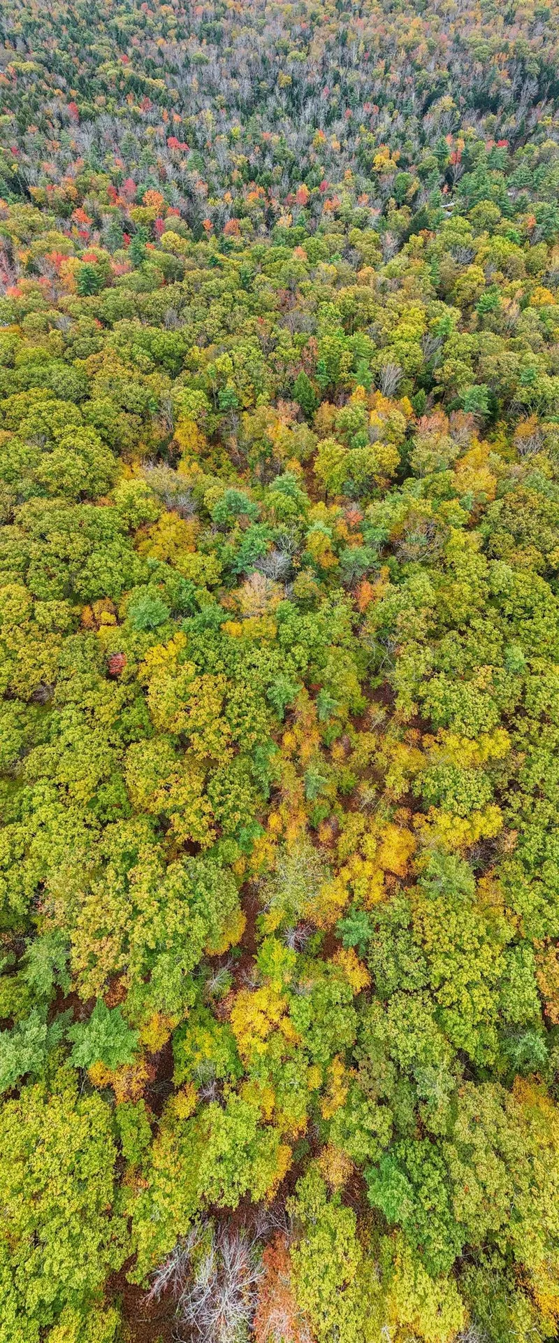 Map 408 Lot 39-1 Bullock Road Richmond NH 03446