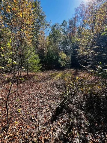 Map 408 Lot 39-1 Bullock Road Richmond NH 03446