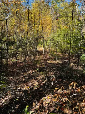 Map 408 Lot 39-1 Bullock Road Richmond NH 03446