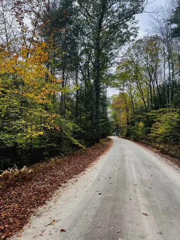 Map 408 Lot 39-1 Bullock Road Richmond NH 03446