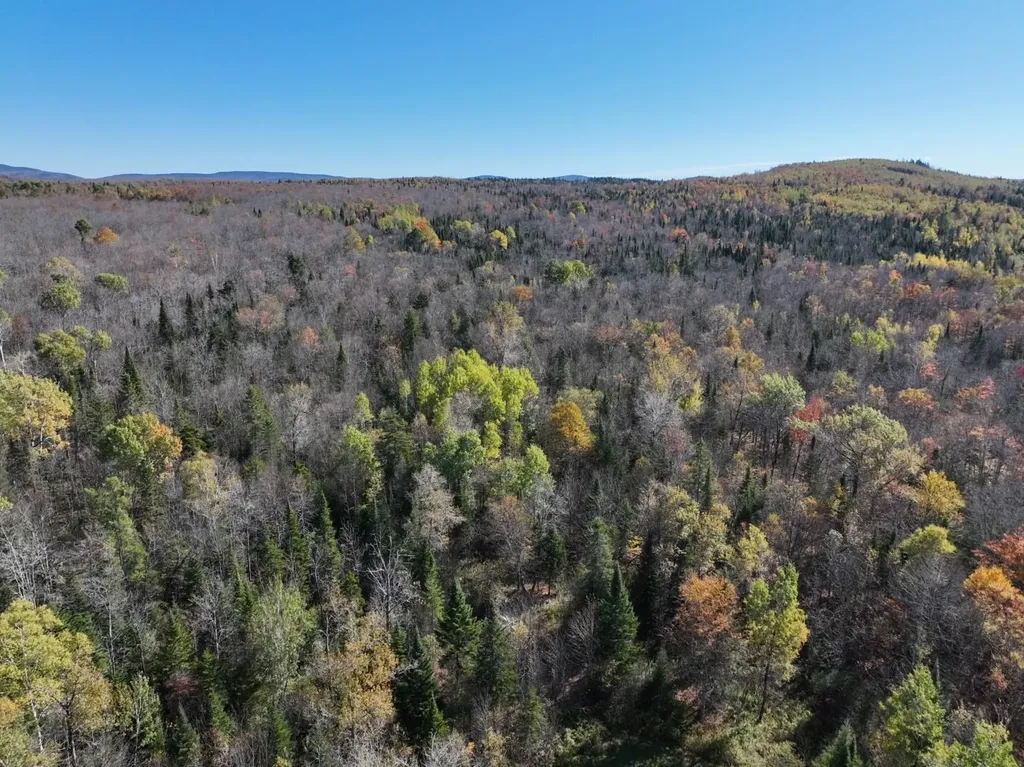 882 Toad Pond Road Morgan VT 05853