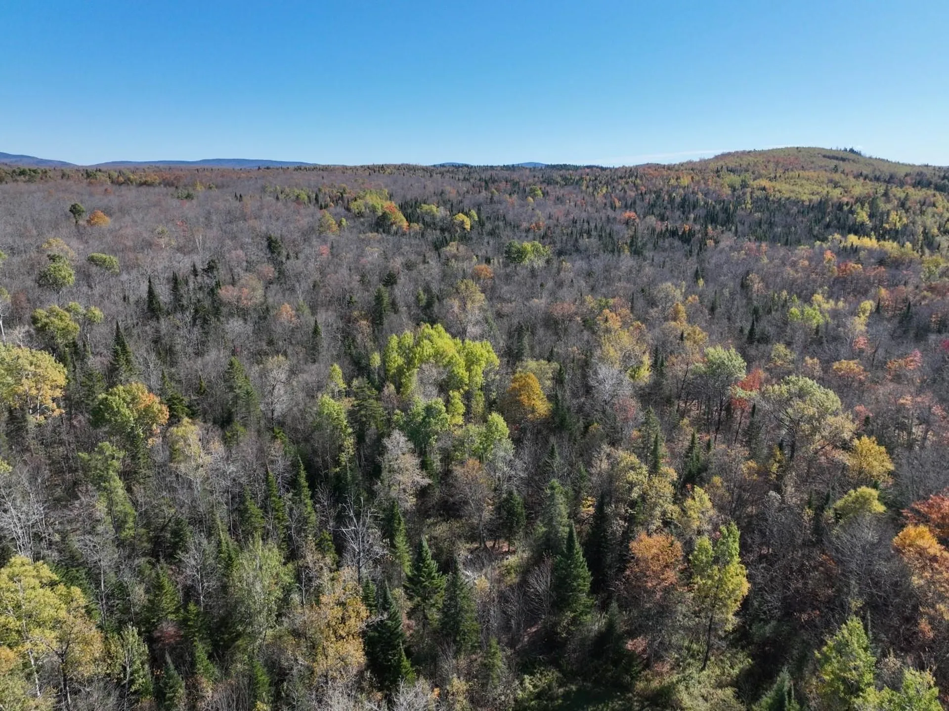 882 Toad Pond Road Morgan VT 05853