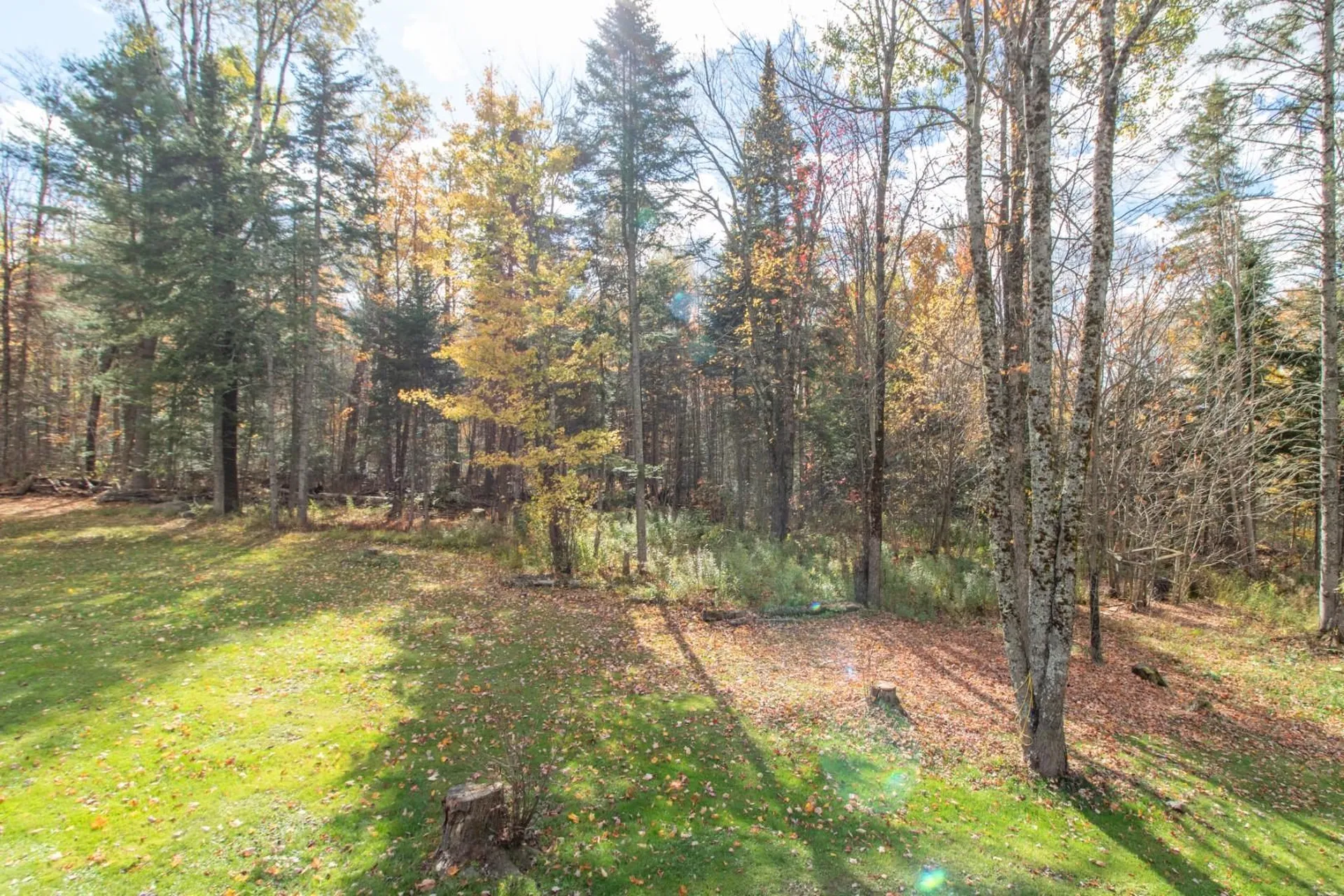 882 Toad Pond Road Morgan VT 05853