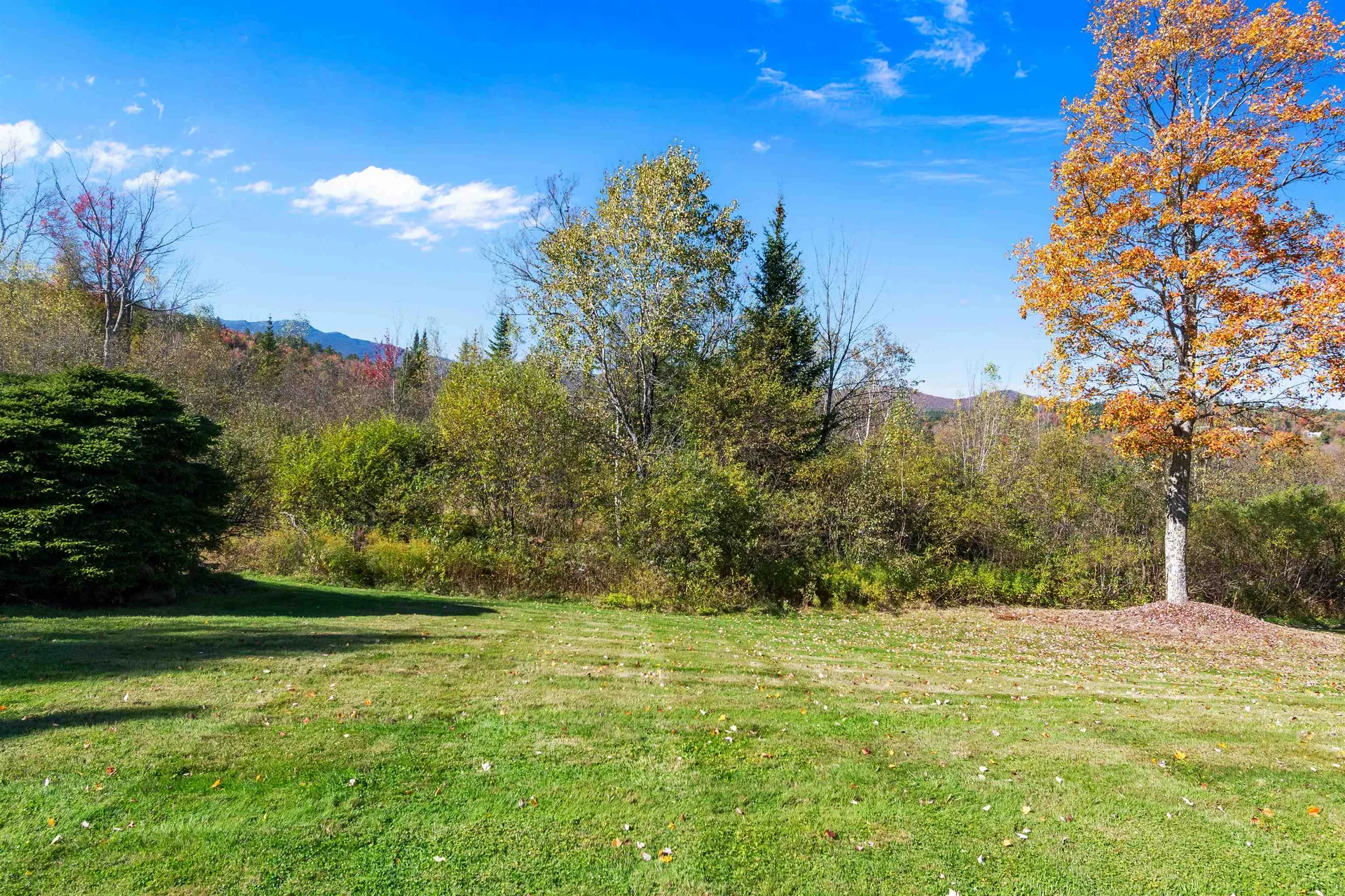 48 Wildlife Road Stowe VT 05672