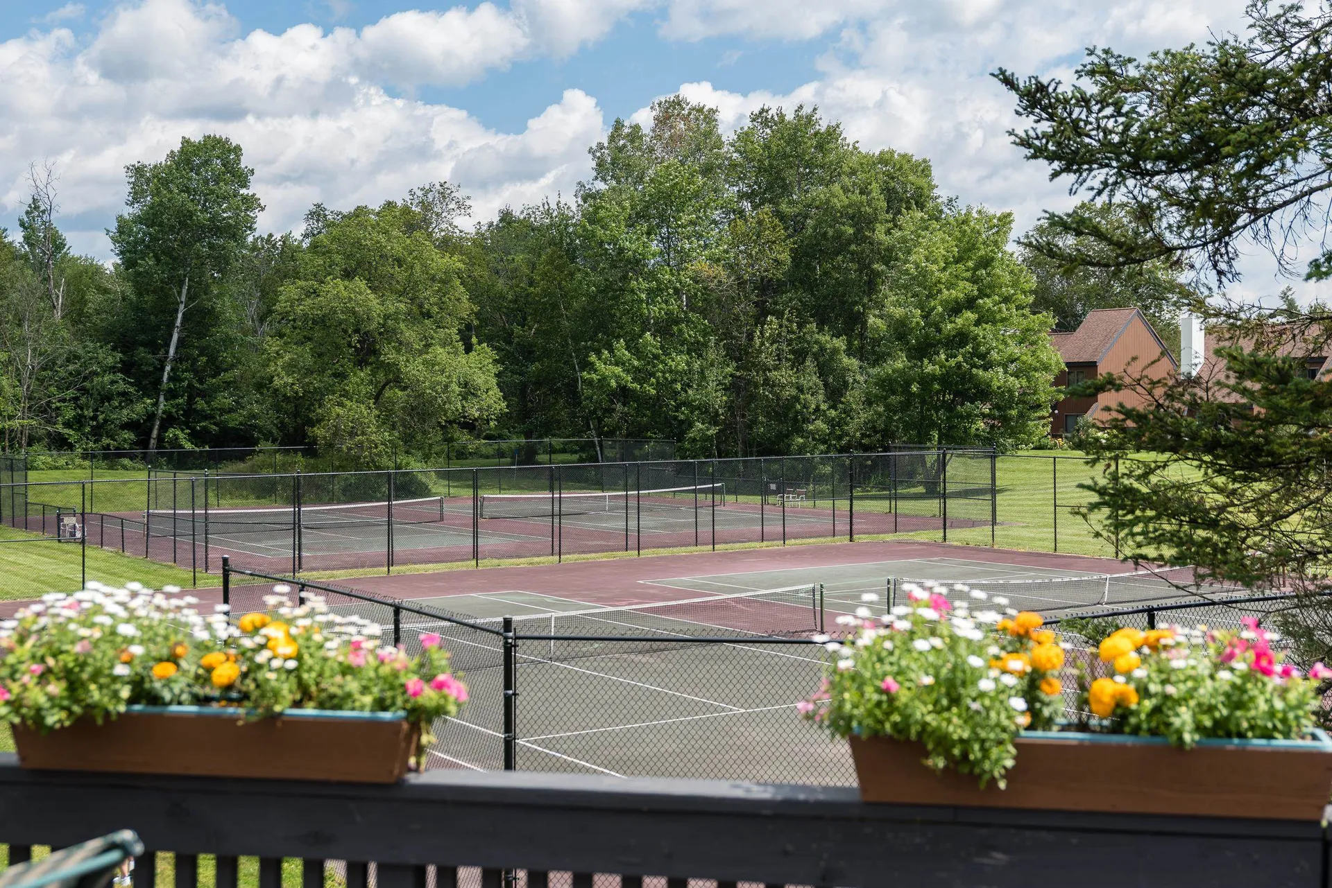 48 Wildlife Road Stowe VT 05672