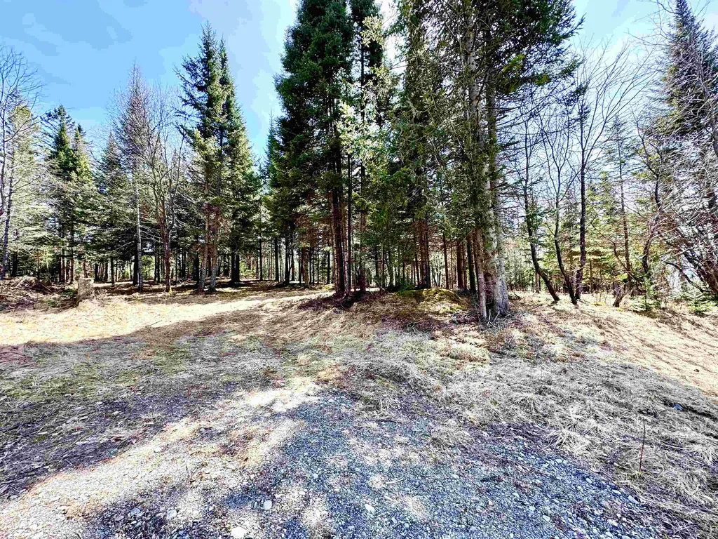 Tbd Hollow Road Stewartstown NH 03576