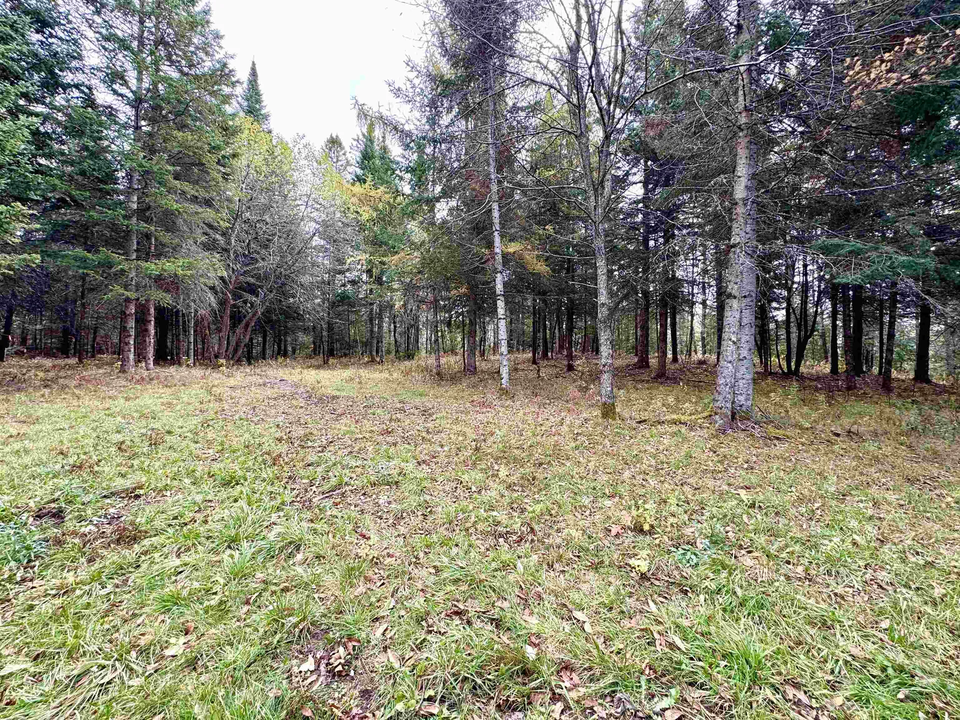 Tbd Hollow Road Stewartstown NH 03576