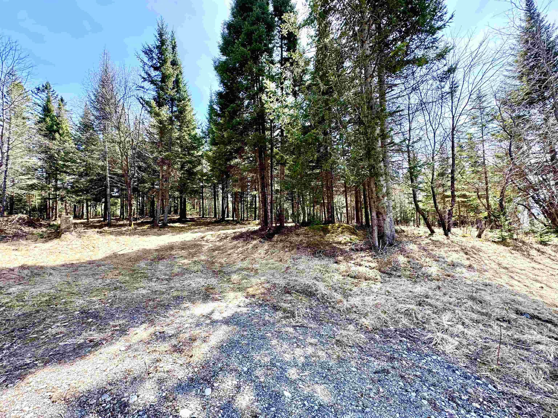 Tbd Hollow Road Stewartstown NH 03576