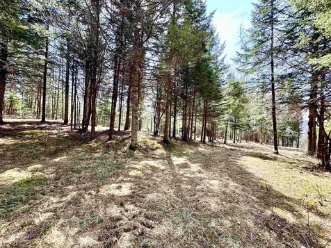 Tbd Hollow Road Stewartstown NH 03576