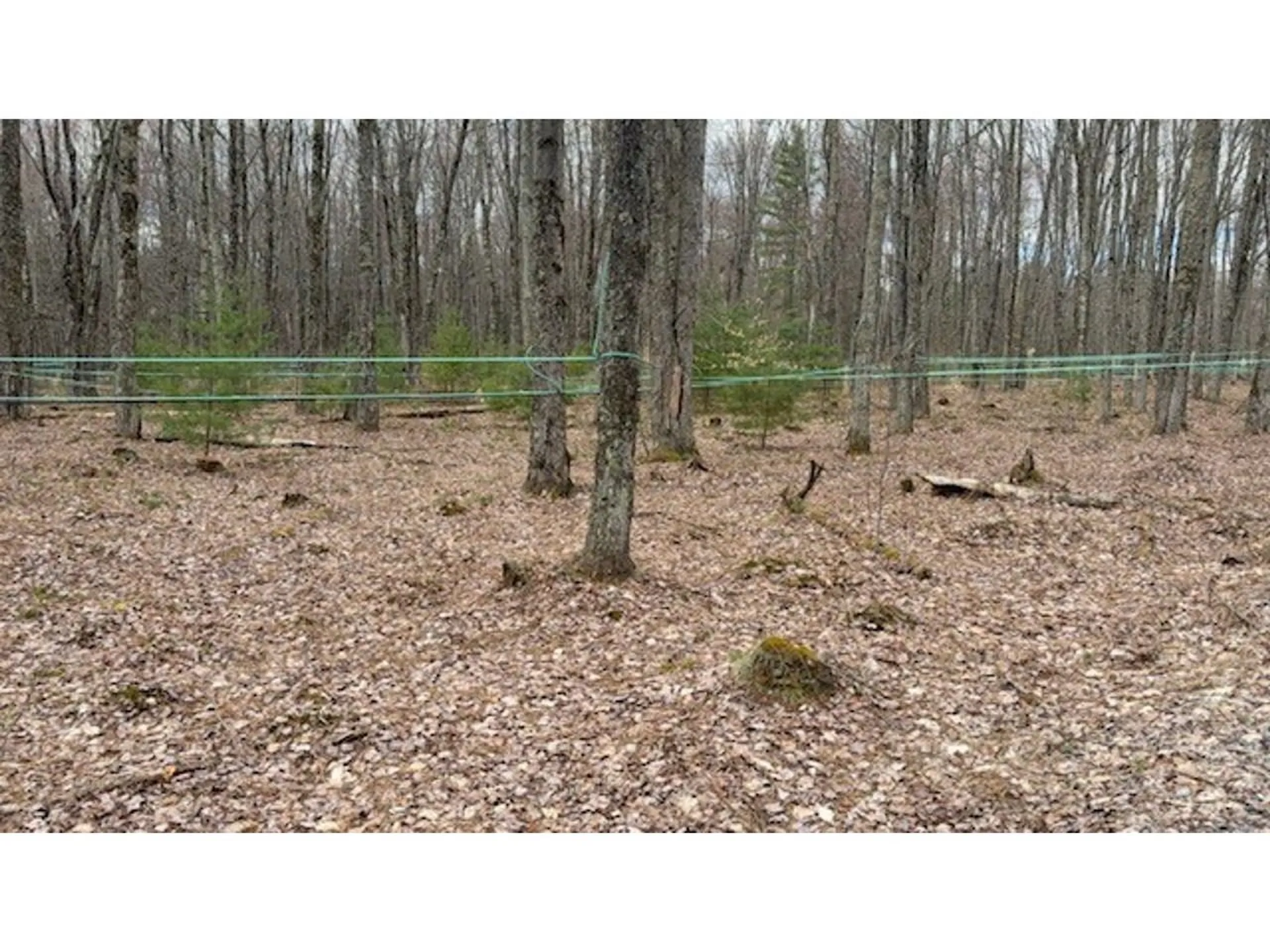 2334 Pumpkin Village Road Fairfield VT 05455