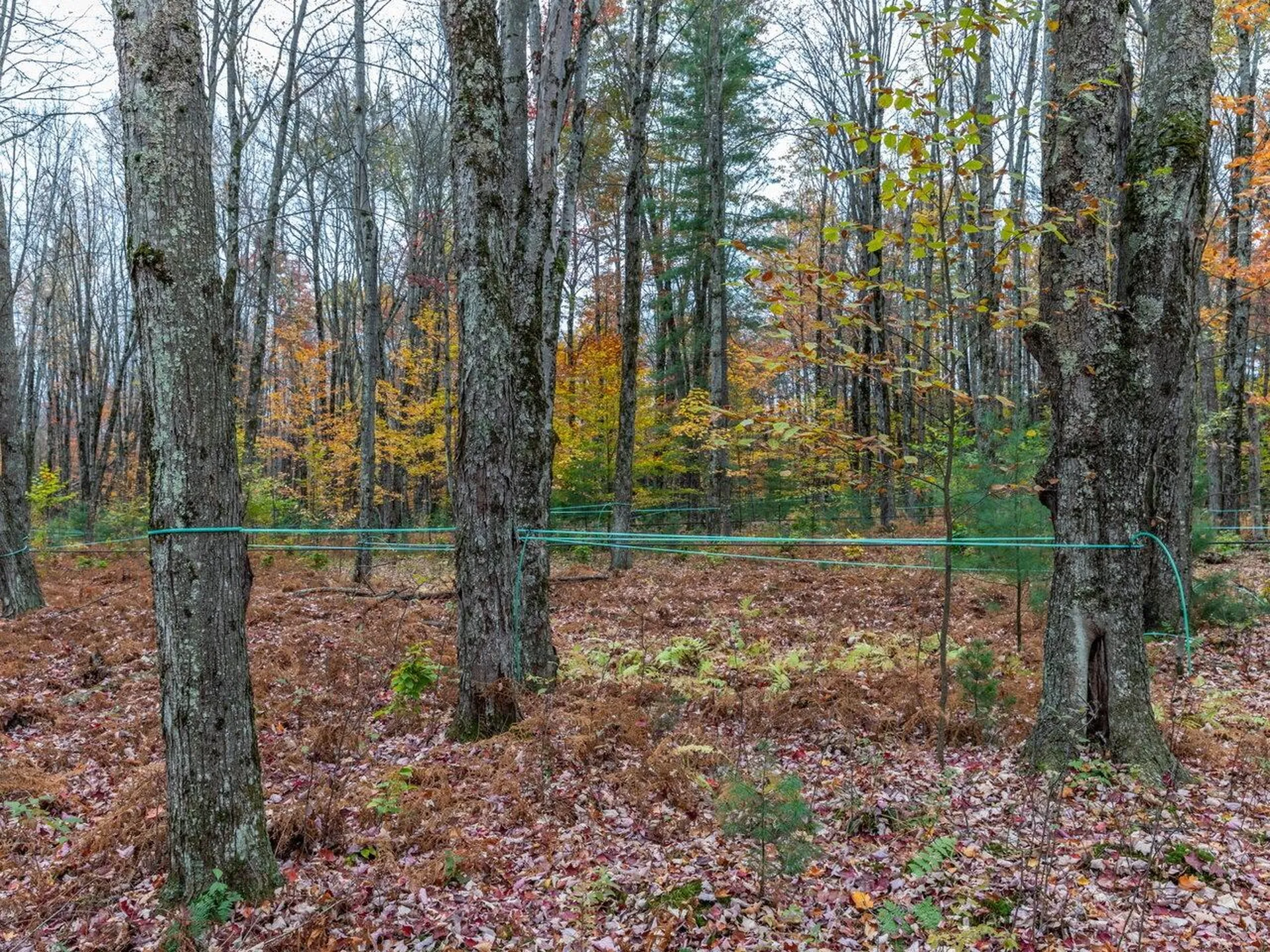 2334 Pumpkin Village Road Fairfield VT 05455