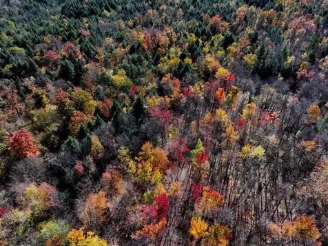 2334 Pumpkin Village Road Fairfield VT 05455