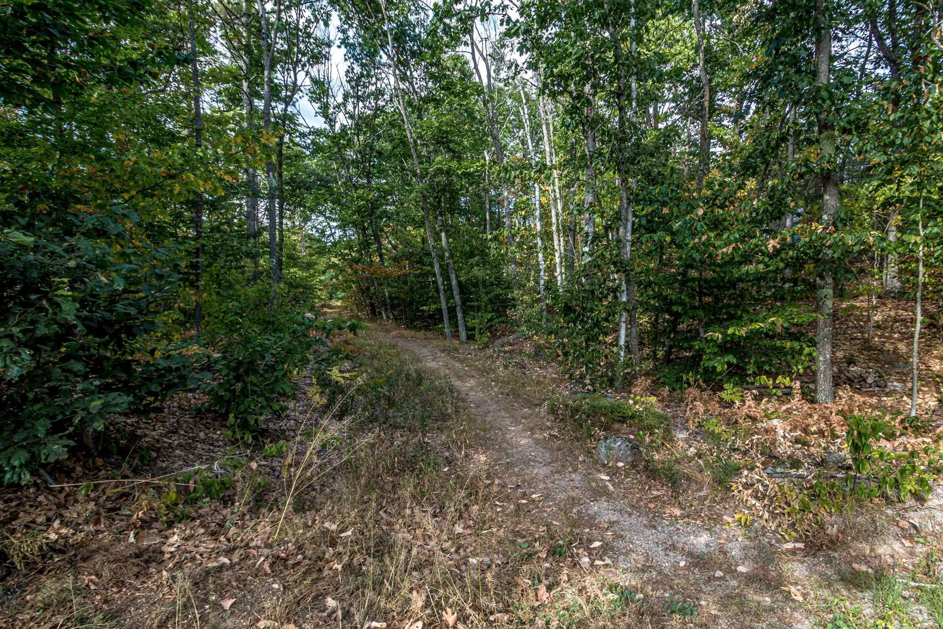 17 The Meadows Road Bartlett NH 03838